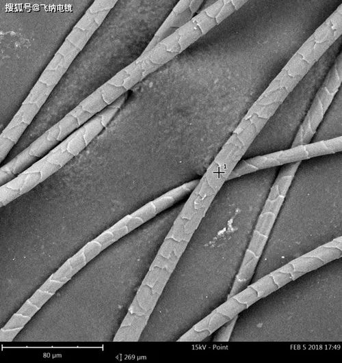 媽媽再也不擔(dān)心我買到假的羊絨圍巾